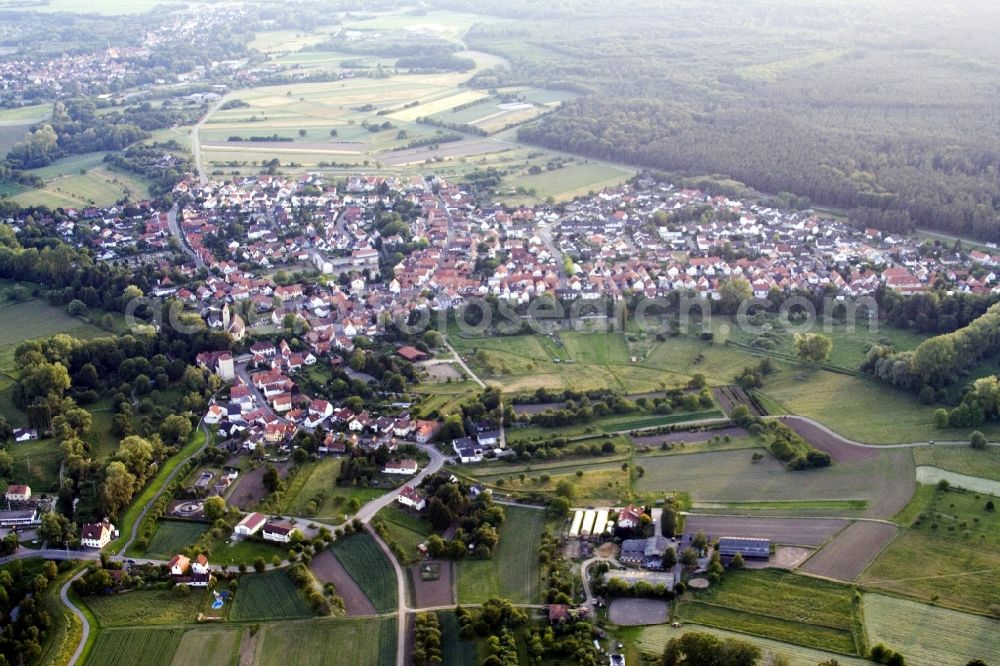 Berg (Pfalz) from above - Village view in Berg (Pfalz) in the state Rhineland-Palatinate