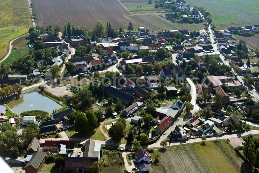 Dornbock from above - Village view in Dornbock in the state Saxony-Anhalt, Germany
