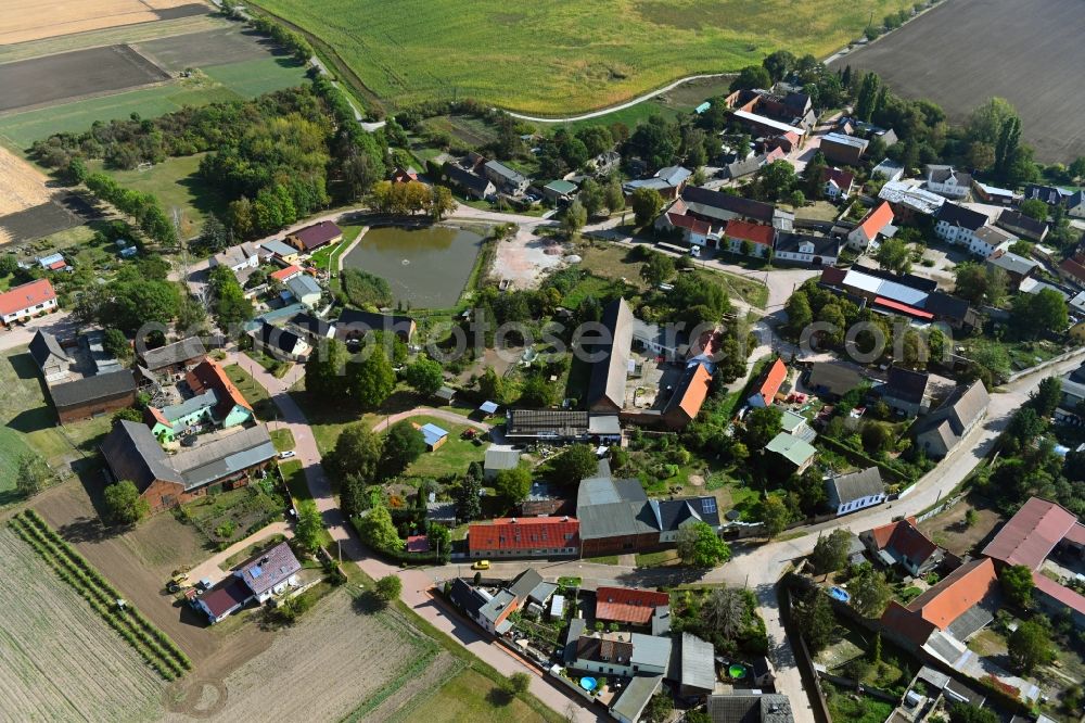 Dornbock from the bird's eye view: Village view in Dornbock in the state Saxony-Anhalt, Germany
