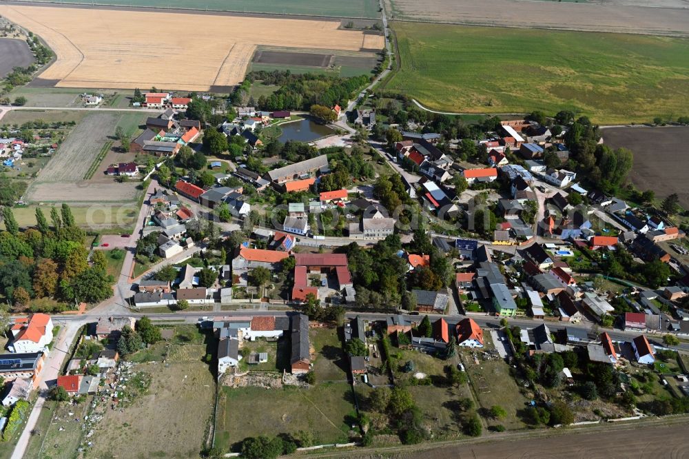 Aerial image Dornbock - Village view in Dornbock in the state Saxony-Anhalt, Germany