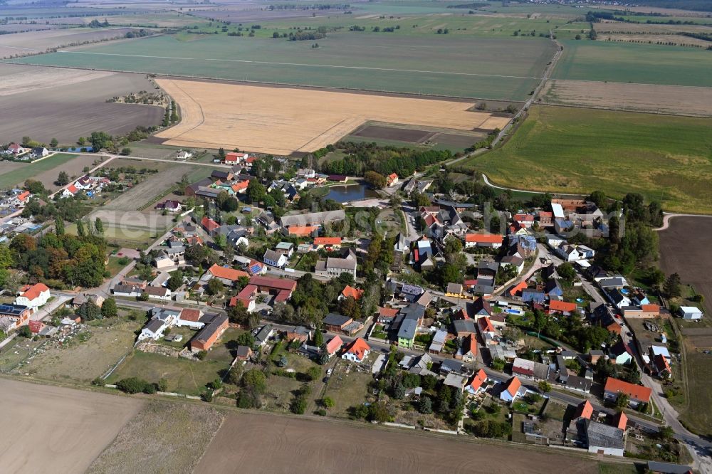 Aerial photograph Dornbock - Village view in Dornbock in the state Saxony-Anhalt, Germany