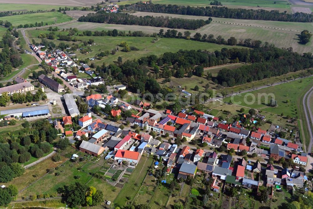 Dornburg from the bird's eye view: Village view in Dornburg in the state Saxony-Anhalt, Germany