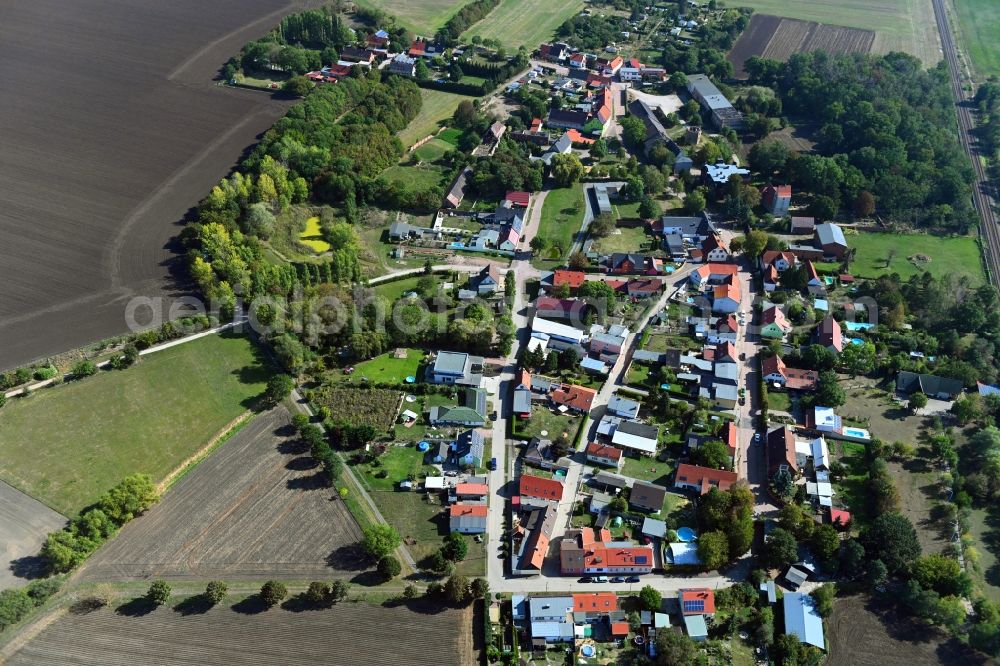 Frenz from above - Village view in Frenz in the state Saxony-Anhalt, Germany