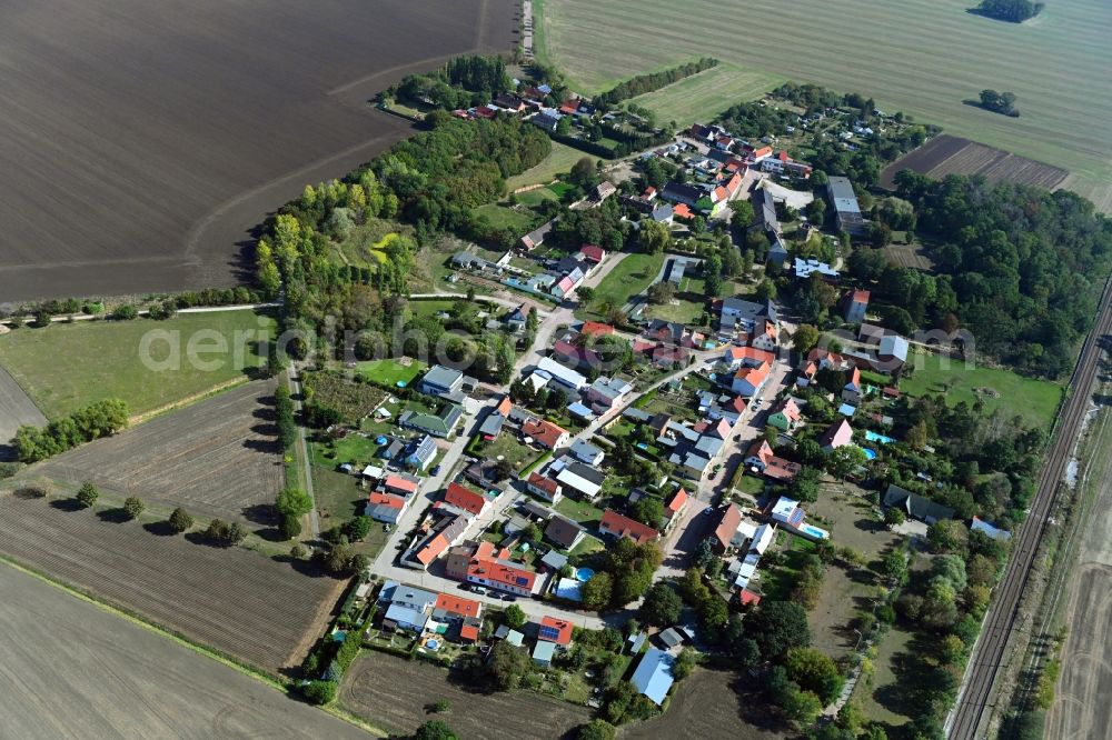 Frenz from the bird's eye view: Village view in Frenz in the state Saxony-Anhalt, Germany
