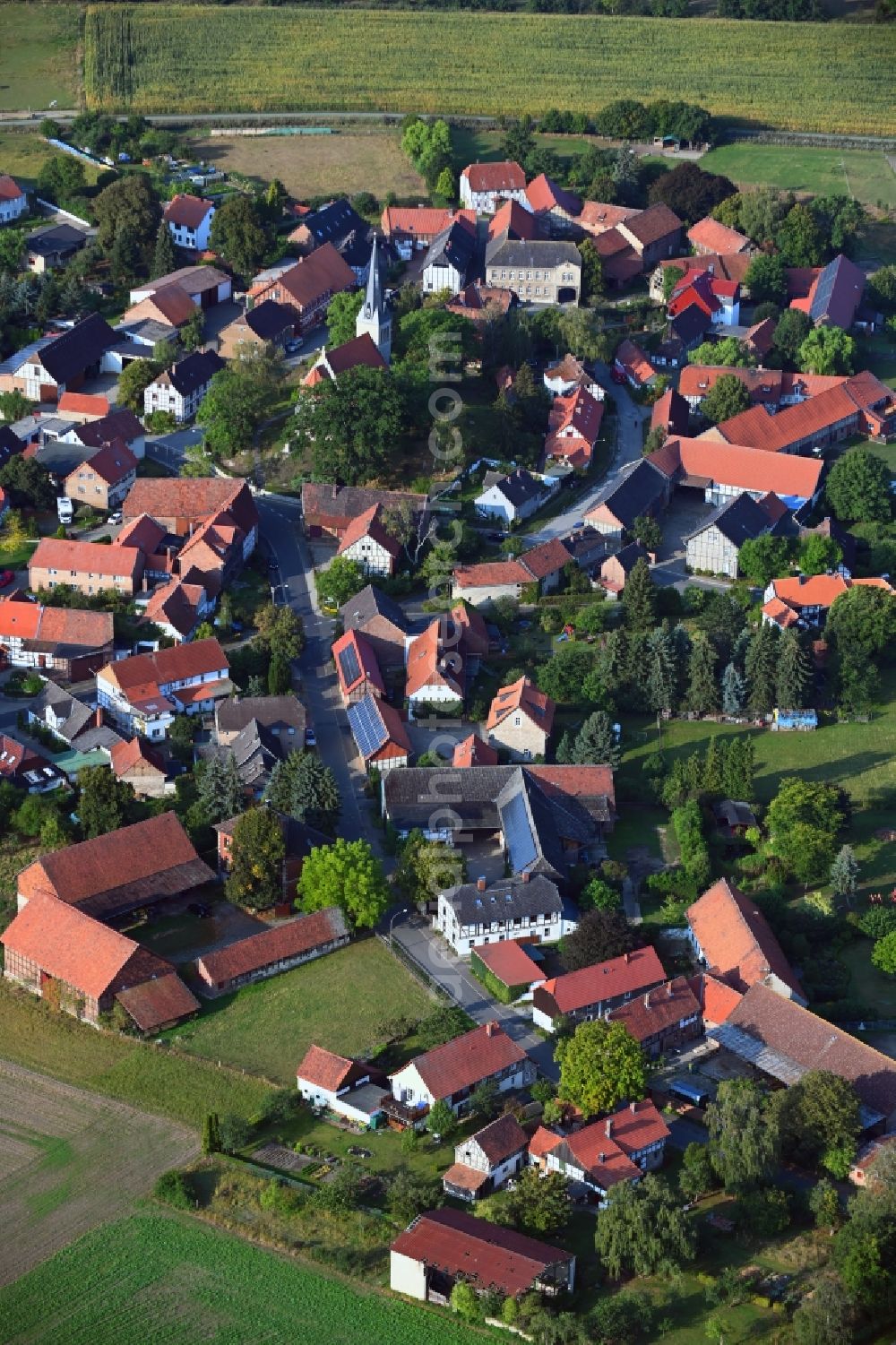 Gross Steinum from the bird's eye view: Village view in Gross Steinum in the state Lower Saxony, Germany