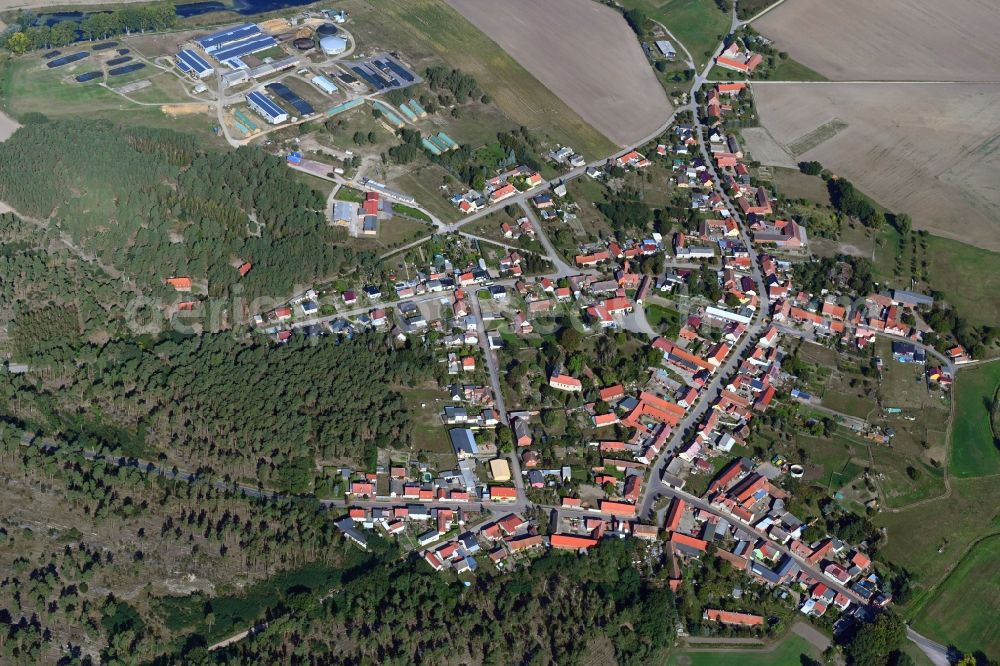 Aerial photograph Ihleburg - Village view in Ihleburg in the state Saxony-Anhalt, Germany
