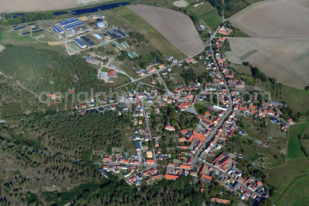Ihleburg from above - Village view in Ihleburg in the state Saxony-Anhalt, Germany