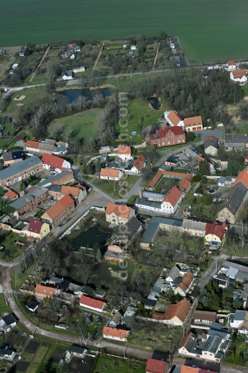Aerial image Köthen (Anhalt) - Village view of Loebnitz an der Linde in the state Saxony-Anhalt