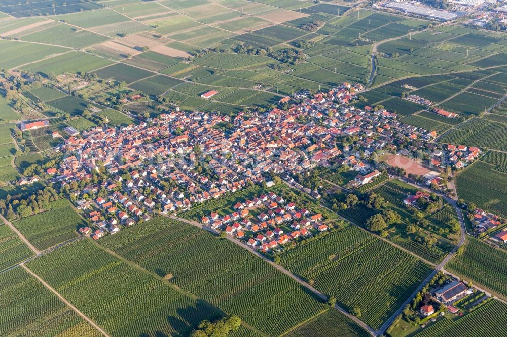 Aerial image Landau in der Pfalz - Village view in the district Nussdorf in Landau in der Pfalz in the state Rhineland-Palatinate, Germany