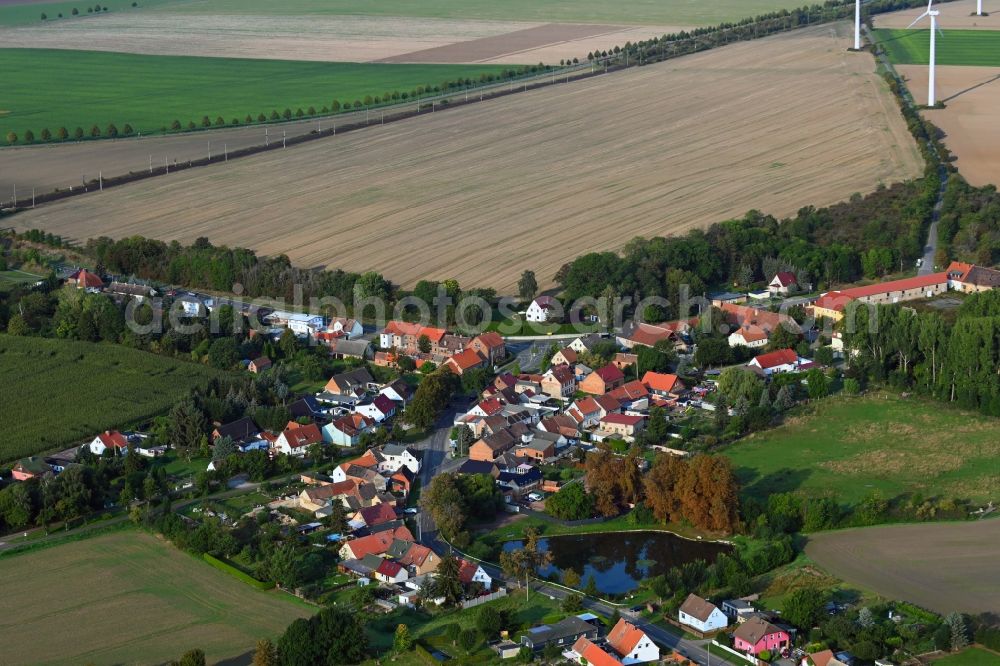 Aerial photograph Ovelgünne - Village view in Ovelguenne in the state Saxony-Anhalt, Germany