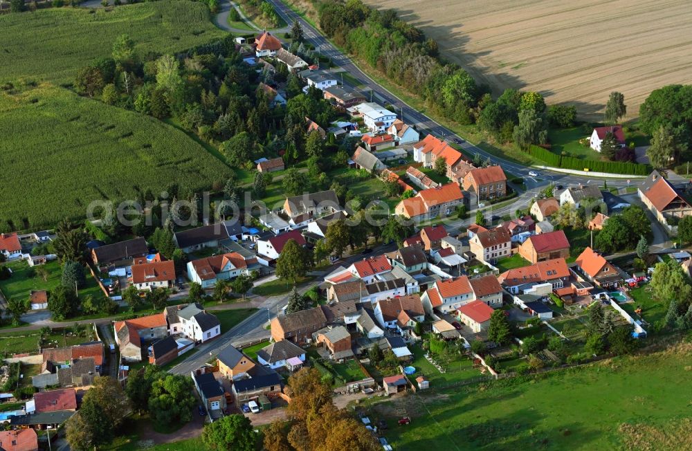 Ovelgünne from the bird's eye view: Village view in Ovelguenne in the state Saxony-Anhalt, Germany