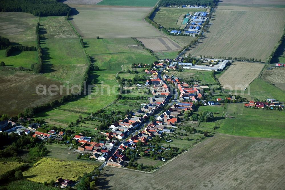 Aerial photograph Pechüle - Village view in Pechuele in the state Brandenburg, Germany