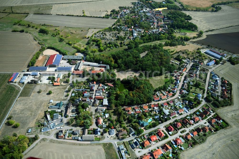 Prussendorf from the bird's eye view: Village view in Prussendorf in the state Saxony-Anhalt, Germany