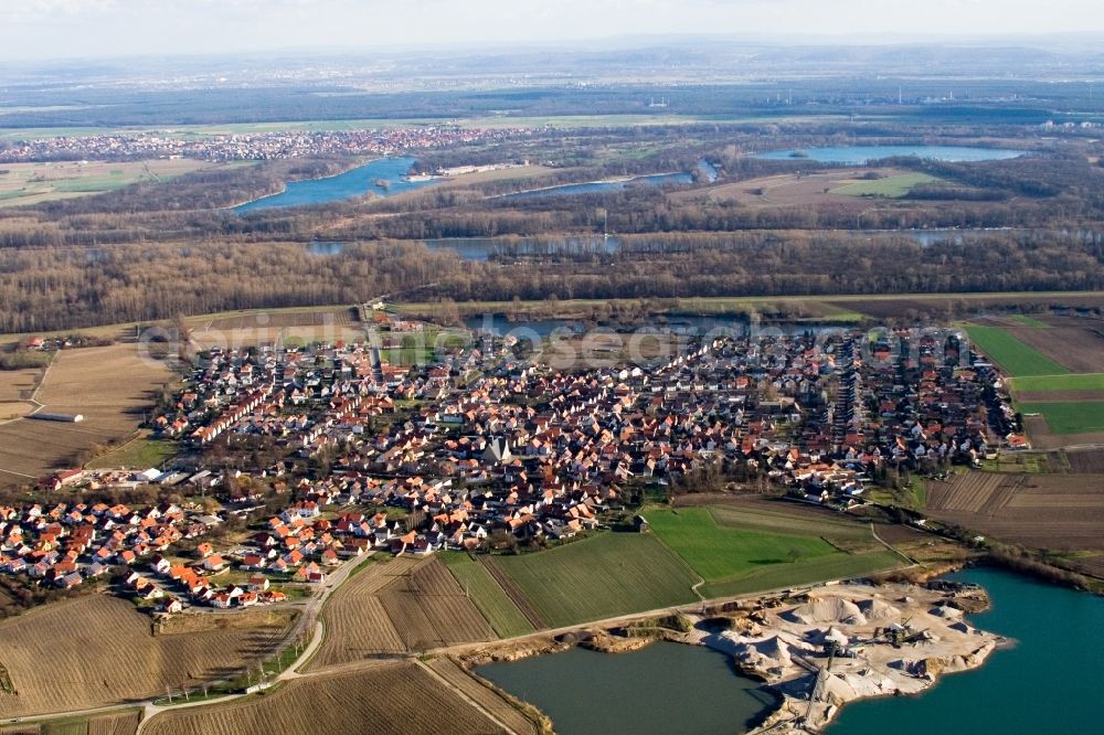 Aerial image Leimersheim - Village - view on the edge of agricultural fields and farmland in Leimersheim in the state Rhineland-Palatinate
