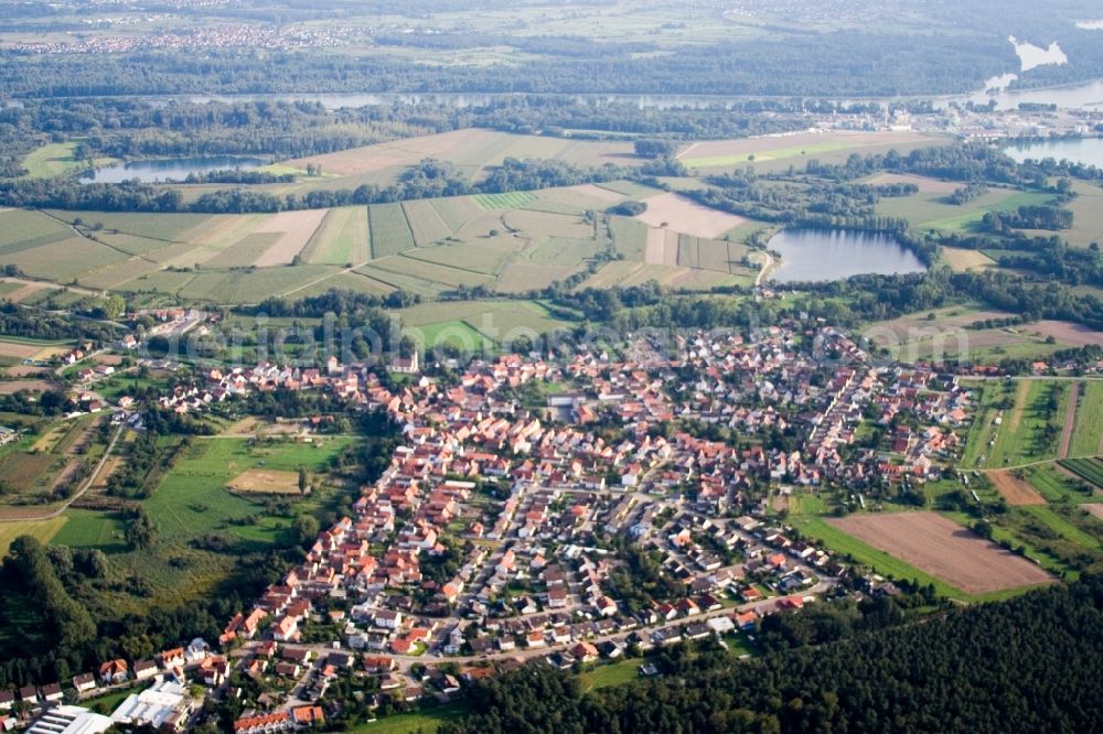 Berg (Pfalz) from above - Village - view on the edge of agricultural fields and farmland in Berg (Pfalz) in the state Rhineland-Palatinate