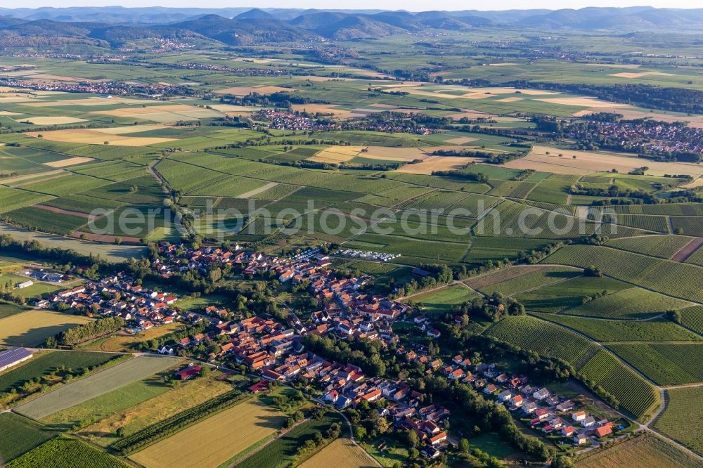 Dierbach from above - Village - view on the edge of agricultural fields and farmland in Dierbach in the state Rhineland-Palatinate