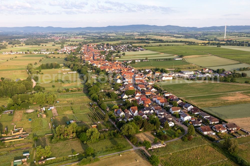 Aerial photograph Freckenfeld - Village - view on the edge of agricultural fields and farmland in Freckenfeld in the state Rhineland-Palatinate, Germany