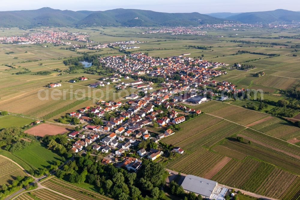 Aerial photograph Kirrweiler (Pfalz) - Village - view on the edge of agricultural fields and farmland in Kirrweiler (Pfalz) in the state Rhineland-Palatinate, Germany