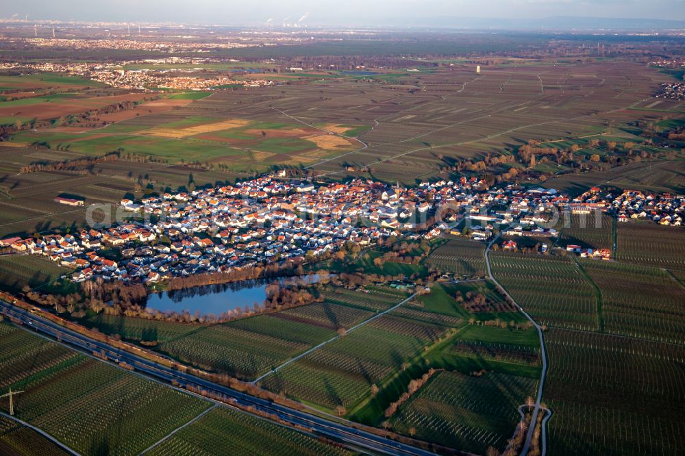 Aerial image Kirrweiler (Pfalz) - Village - view on the edge of agricultural fields and farmland in Kirrweiler (Pfalz) in the state Rhineland-Palatinate, Germany