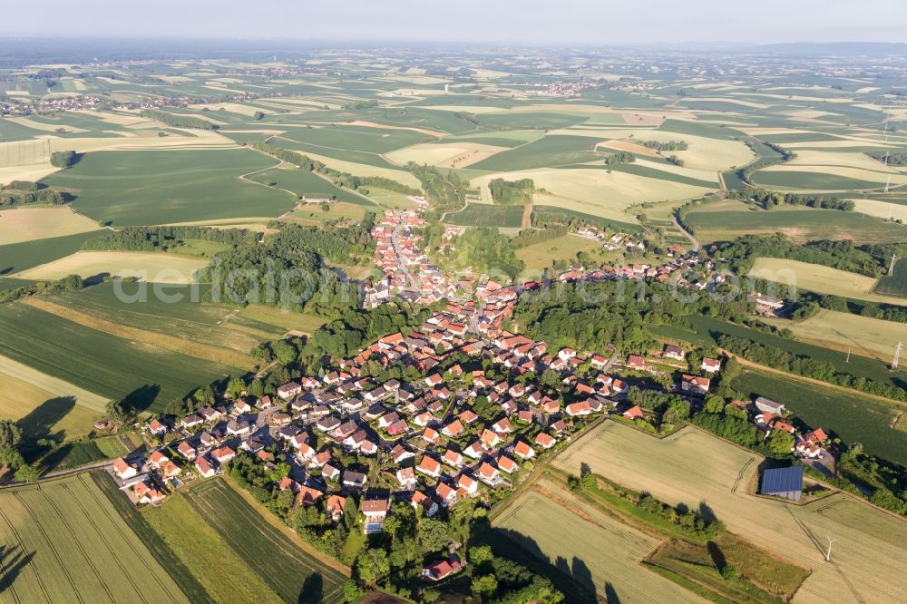 Néewiller-prés-Lauterbourg from the bird's eye view: Village - view on the edge of agricultural fields and farmland in Neewiller-pres-Lauterbourg in Grand Est, France