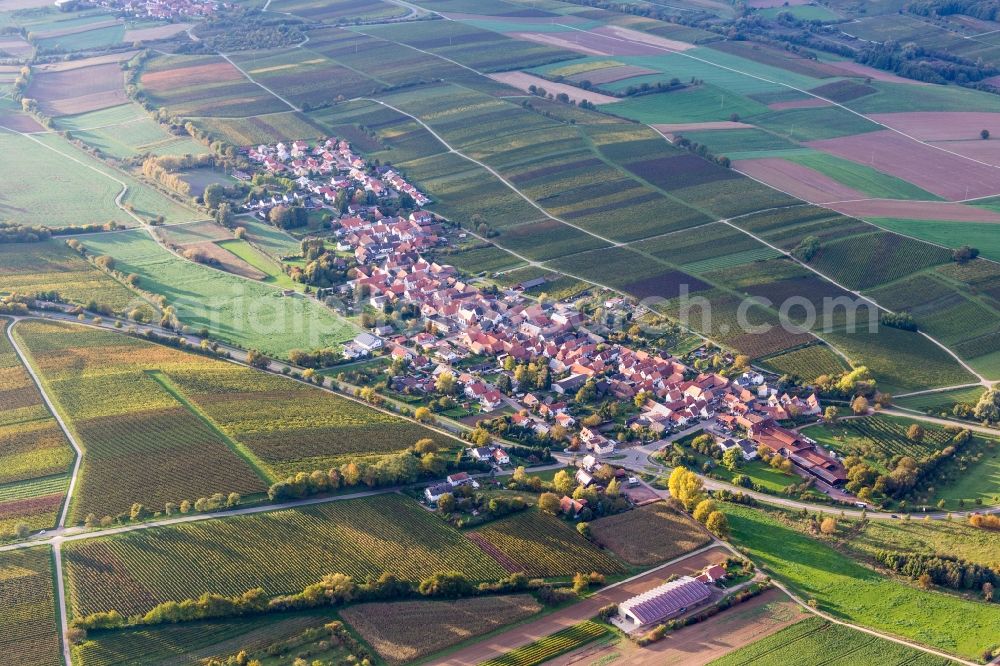 Niederhorbach from the bird's eye view: Village - view on the edge of agricultural fields and farmland in Niederhorbach in the state Rhineland-Palatinate, Germany