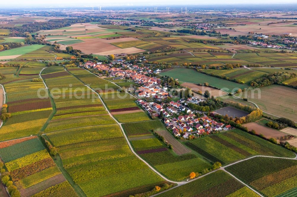 Niederhorbach from above - Village - view on the edge of agricultural fields and farmland in Niederhorbach in the state Rhineland-Palatinate, Germany