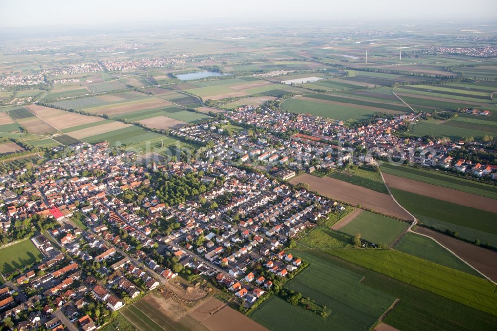 Frankenthal (Pfalz) from the bird's eye view: Village - view on the edge of agricultural fields and farmland in the district Flomersheim in Frankenthal (Pfalz) in the state Rhineland-Palatinate, Germany
