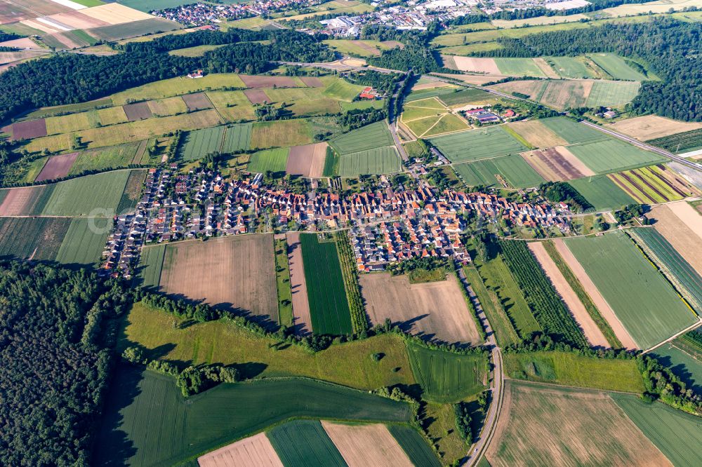 Erlenbach bei Kandel from above - Village - view on the edge of agricultural fields and farmland in the district Gewerbegebiet Horst in Erlenbach bei Kandel in the state Rhineland-Palatinate