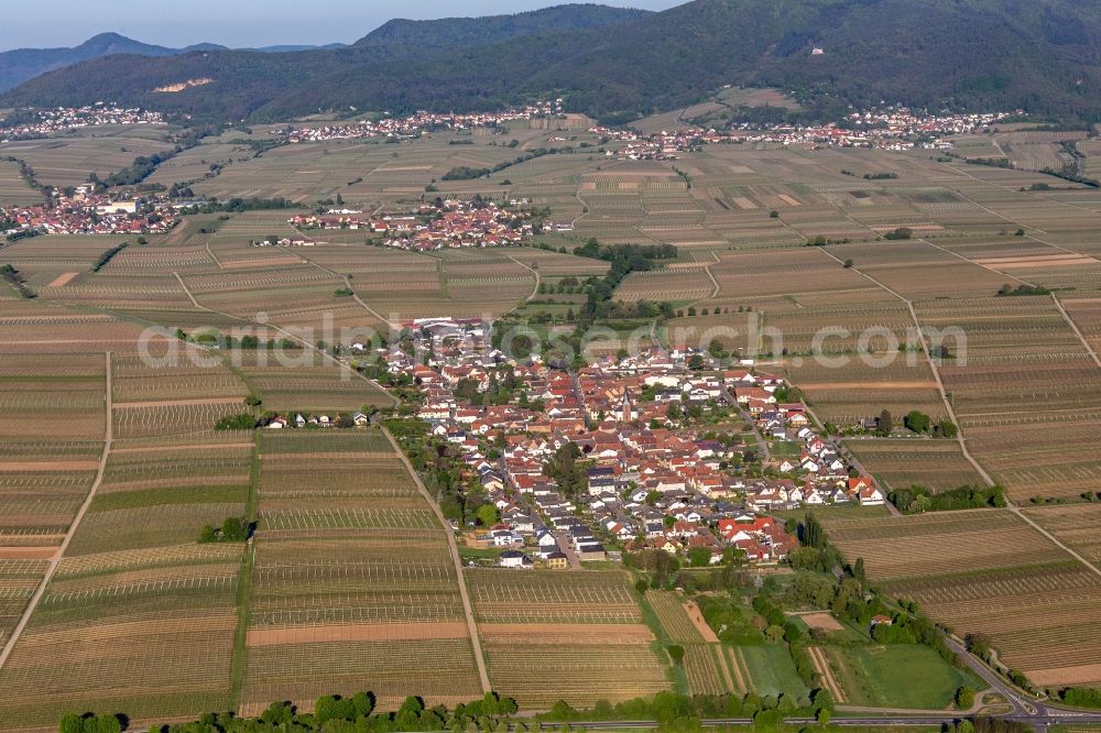 Roschbach from the bird's eye view: Village - view on the edge of agricultural fields and farmland in Roschbach in the state Rhineland-Palatinate, Germany