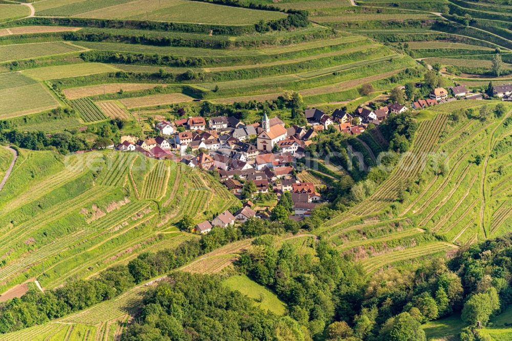 Aerial photograph Vogtsburg im Kaiserstuhl - Village - view on the edge of agricultural fields and farmland in Schelingen in the state Baden-Wurttemberg, Germany