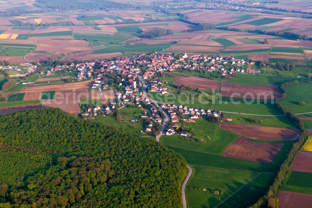Schoenenbourg from the bird's eye view: Village - view on the edge of agricultural fields and farmland in Schoenenbourg in Grand Est, France