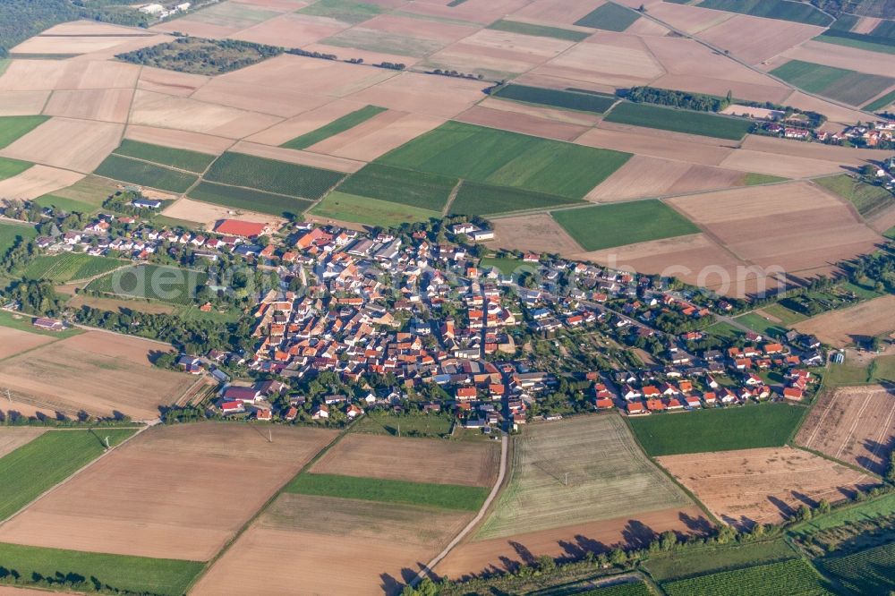 Stein-Bockenheim from above - Village - view on the edge of agricultural fields and farmland in Stein-Bockenheim in the state Rhineland-Palatinate, Germany