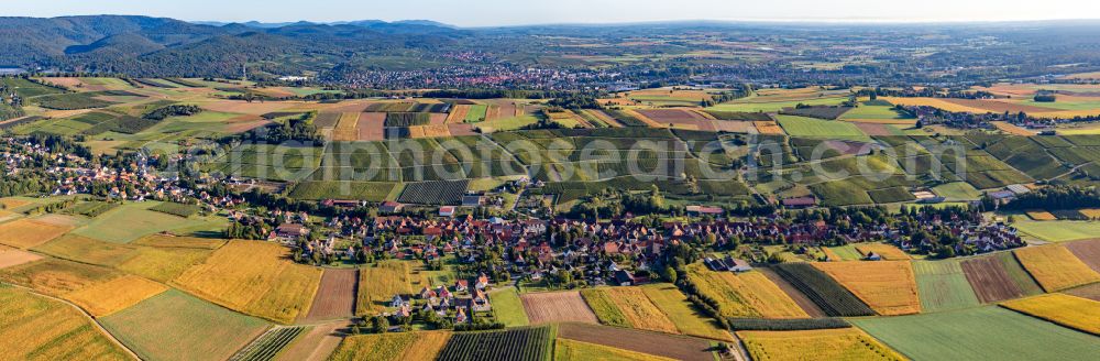 Steinseltz from above - Village - view on the edge of agricultural fields and farmland in Steinseltz in Grand Est, France