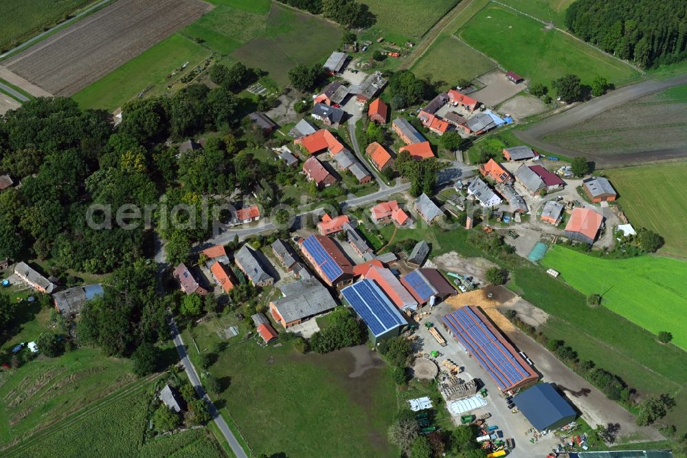 Aerial image Teichlosen - Village - view on the edge of agricultural fields and farmland in Teichlosen in the state Lower Saxony, Germany