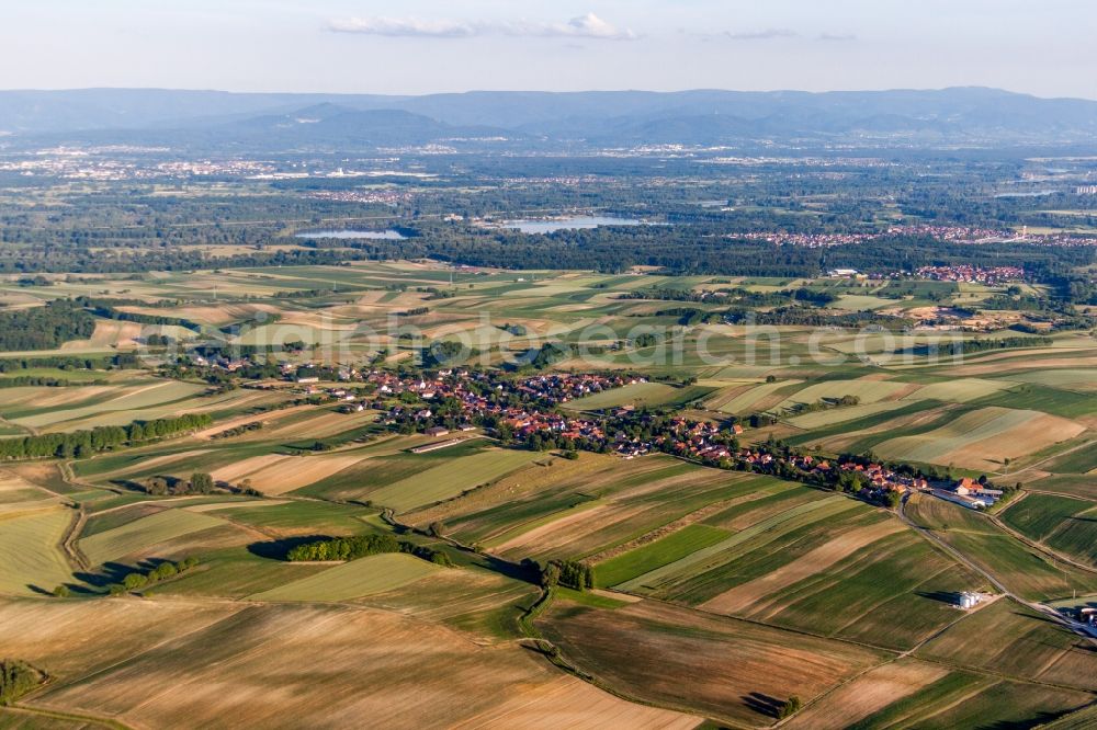 Aerial image Wintzenbach - Village - view on the edge of agricultural fields and farmland in Wintzenbach in Grand Est, France