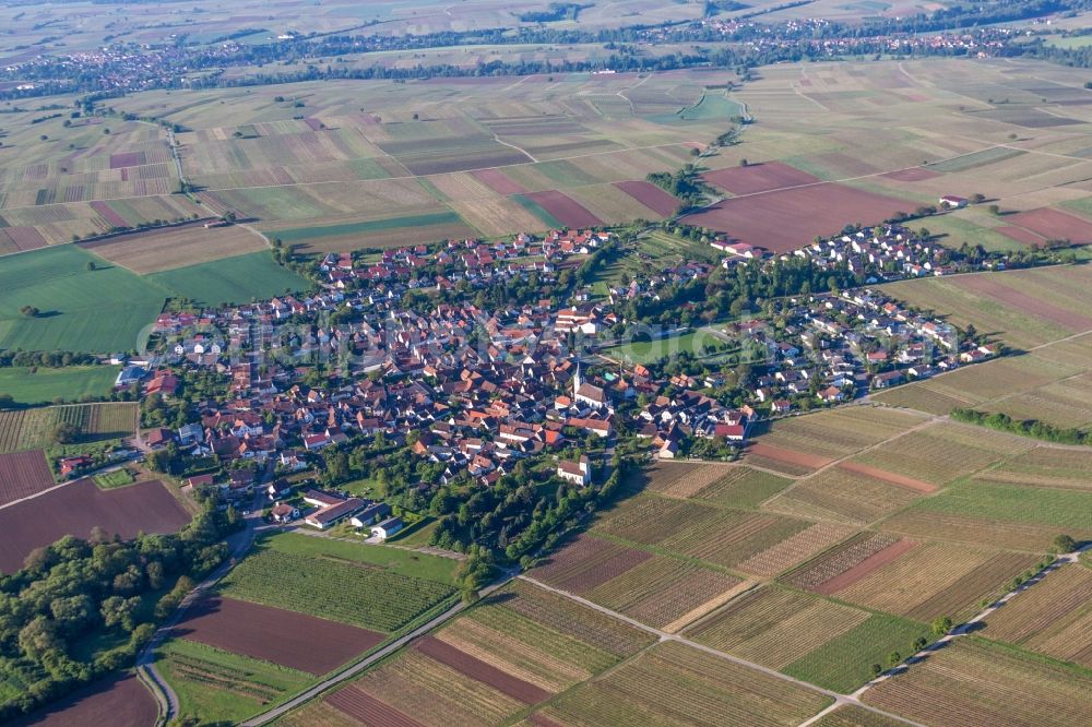 Aerial photograph Wollmesheim - Village - view on the edge of agricultural fields and farmland in Wollmesheim in the state Rhineland-Palatinate, Germany