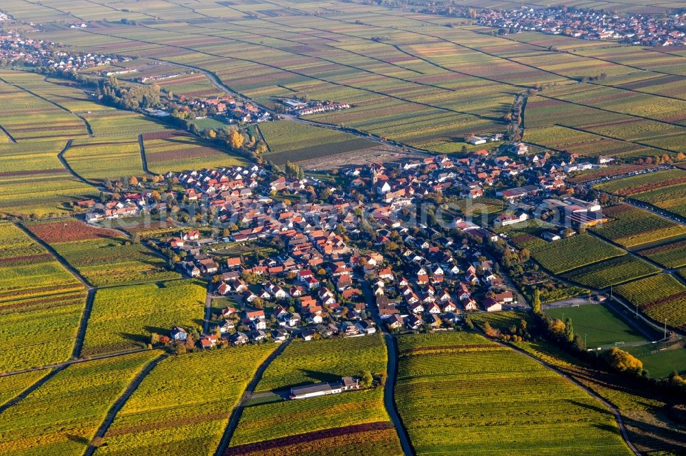 Hainfeld from the bird's eye view: Village - view on the edge of wine yards in sutumn colours in Hainfeld in the state Rhineland-Palatinate, Germany