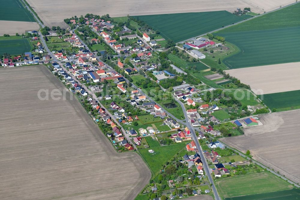 Aerial image Naundorf - Agricultural land and field borders surround the settlement area of the village in Naundorf in the state Saxony, Germany