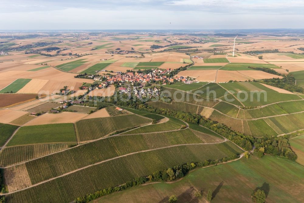 Neuses a.Berg from the bird's eye view: Agricultural land and field borders surround the settlement area of the village in Neuses a.Berg in the state Bavaria, Germany