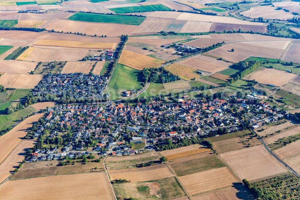 Oberissigheim from the bird's eye view: Agricultural land and field borders surround the settlement area of the village in Oberissigheim in the state Hesse, Germany