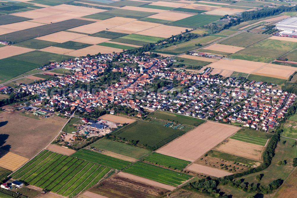 Aerial photograph Ottersheim bei Landau - Agricultural land and field borders surround the settlement area of the village in Ottersheim bei Landau in the state Rhineland-Palatinate, Germany