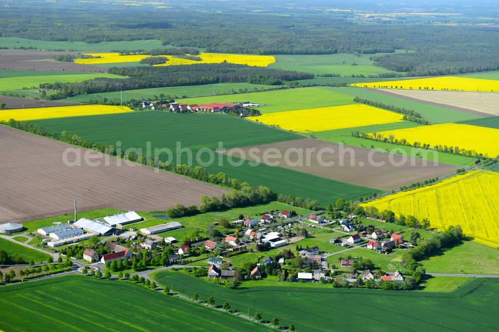 Schwarzer Kater from the bird's eye view: Agricultural land and field borders surround the settlement area of the village in Schwarzer Kater in the state Saxony, Germany