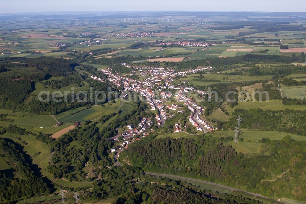 Beverungen from the bird's eye view: Village - view on the edge of forest, agricultural fields and farmland in the district Dalhausen in Beverungen in the state North Rhine-Westphalia, Germany