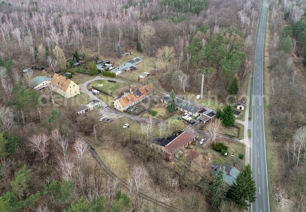 Alwine from above - Village - view on the edge of forested areas in Alwine in the state Brandenburg, Germany