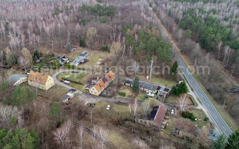 Alwine from the bird's eye view: Village - view on the edge of forested areas in Alwine in the state Brandenburg, Germany
