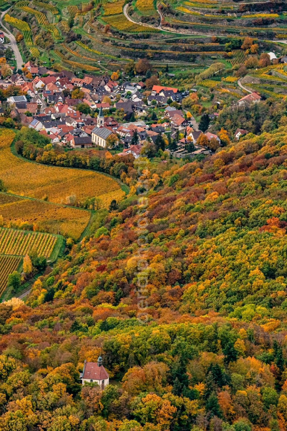 Königschaffhausen from the bird's eye view: Village - view on the edge of forested areas in Koenigschaffhausen in the state Baden-Wuerttemberg, Germany