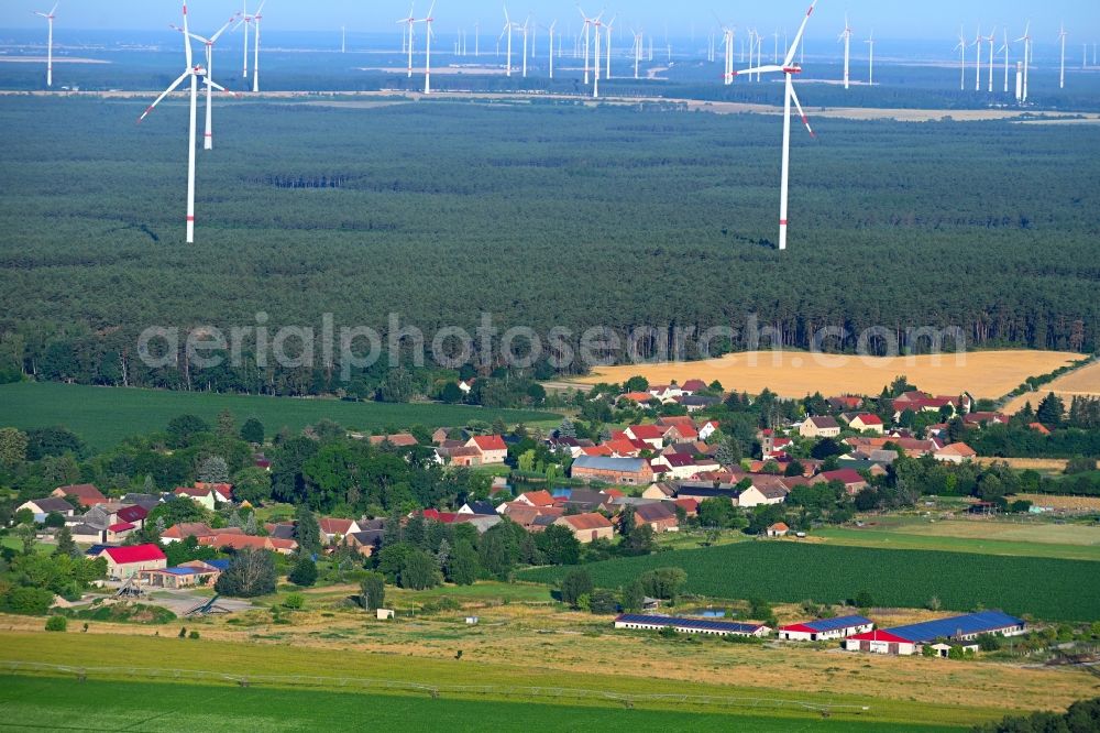 Baruth/Mark from the bird's eye view: Village - view on the edge of forested areas in Baruth/Mark in the state Brandenburg, Germany