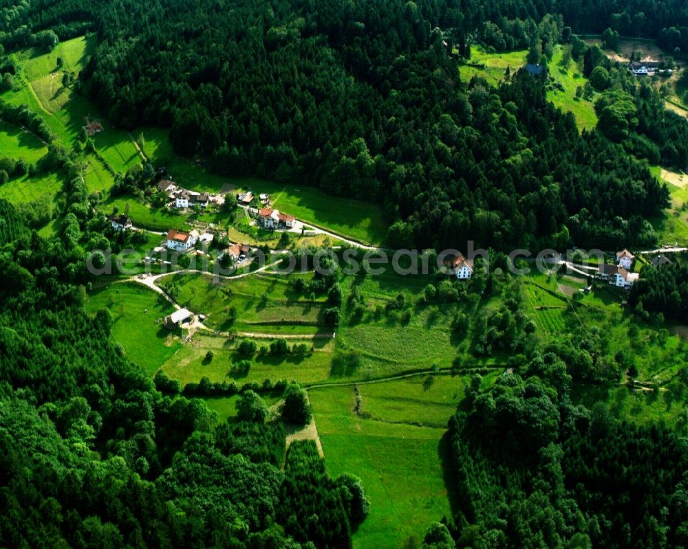 Aerial photograph Bühlertal - Village - view on the edge of forested areas in Bühlertal in the state Baden-Wuerttemberg, Germany