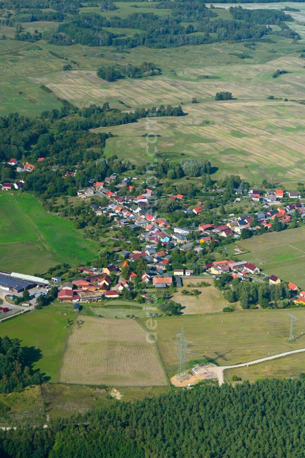 Chorin from the bird's eye view: Village - view on the edge of forested areas in Chorin in the state Brandenburg, Germany