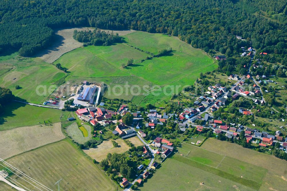 Chorin from above - Village - view on the edge of forested areas in Chorin in the state Brandenburg, Germany